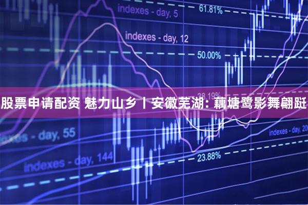 股票申请配资 魅力山乡丨安徽芜湖: 藕塘鹭影舞翩跹