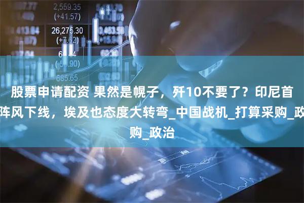 股票申请配资 果然是幌子，歼10不要了？印尼首架阵风下线，埃及也态度大转弯_中国战机_打算采购_政治