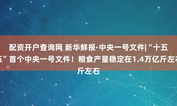 配资开户查询网 新华鲜报·中央一号文件|“十五五”首个中央一号文件!粮食产量稳定在1.4万亿斤左右